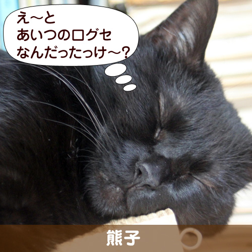 110146_touko.jpg