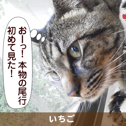 110148_touko.jpg