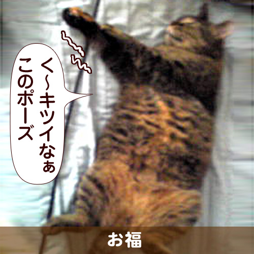 110149_touko.jpg