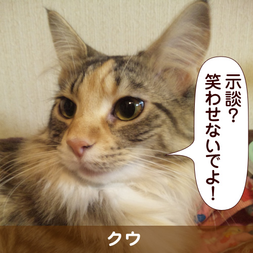 110150_touko.jpg