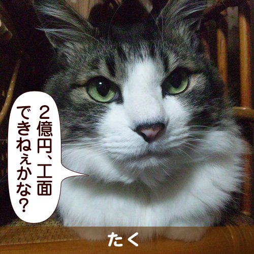110153_touko.jpg