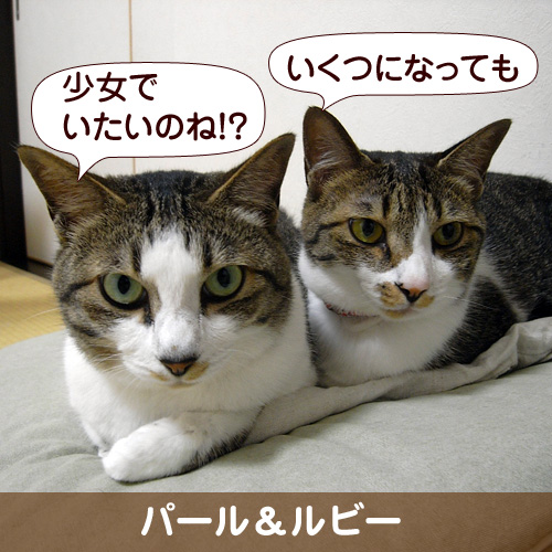 110155_touko.jpg