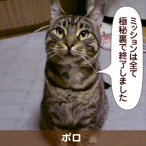 110157_touko.jpg