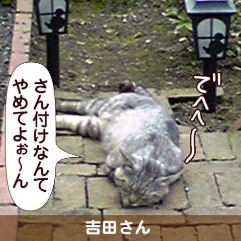 110160_touko.jpg