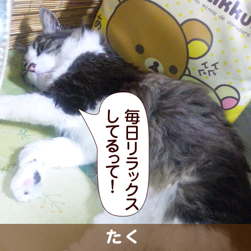 110203_touko.jpg