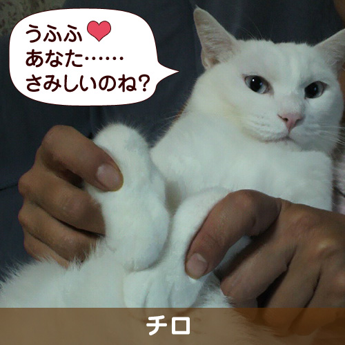 110205_touko.jpg