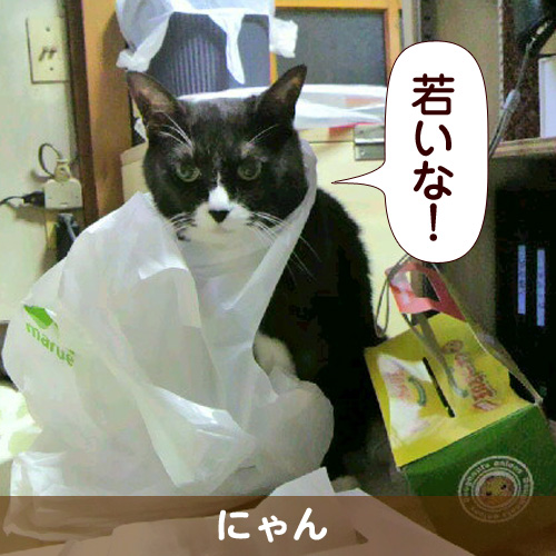 110206_touko.jpg