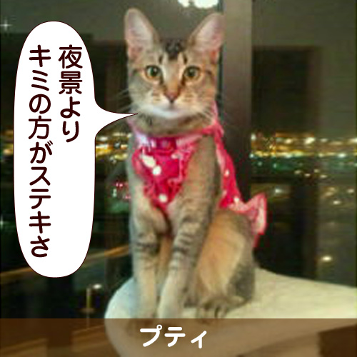 110207_touko.jpg