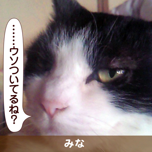 110208_touko.jpg