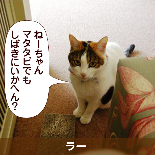 110210_touko.jpg