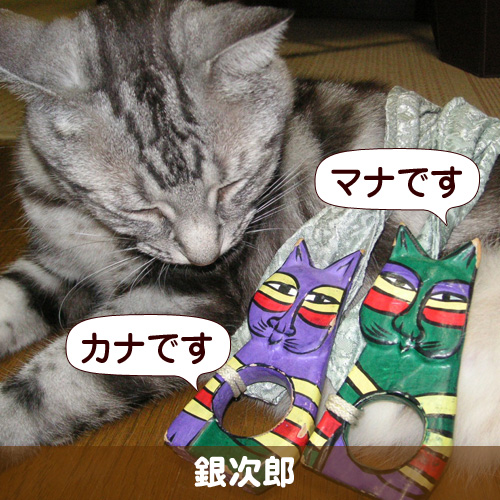 110211_touko.jpg
