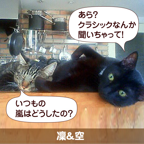 110214_touko.jpg