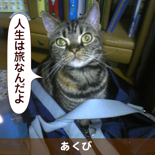 110215_touko.jpg