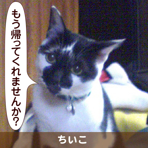 110218_touko.jpg