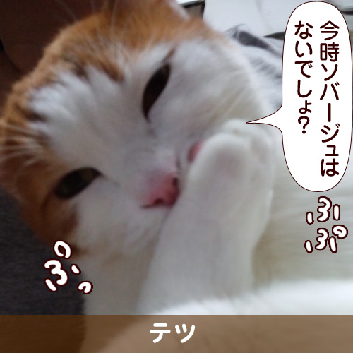 110220_touko.jpg