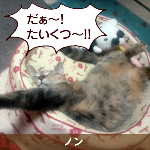 110221_touko.jpg