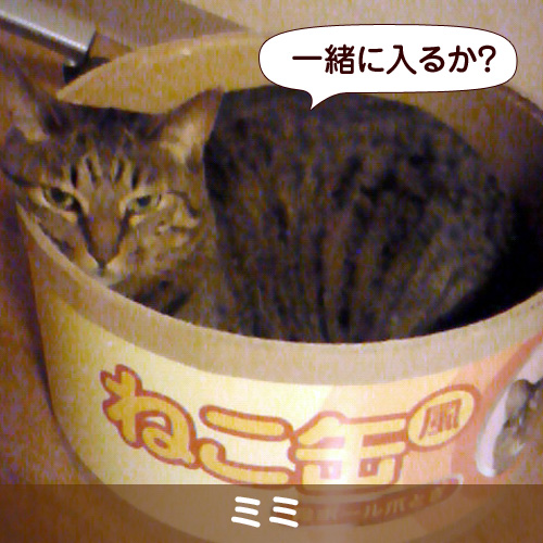 110223_touko.jpg