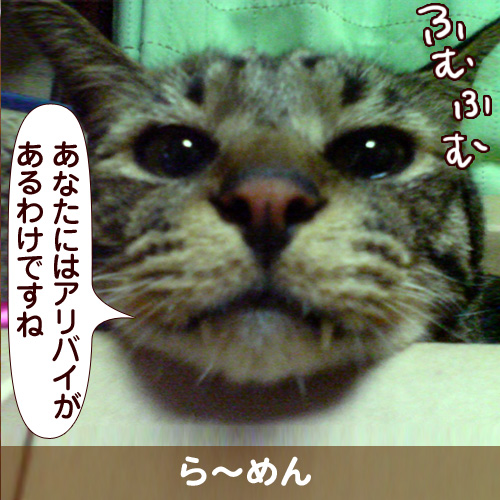 110224_touko.jpg