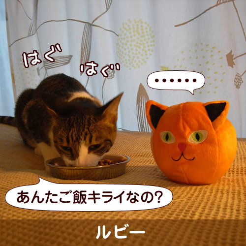 110225_touko.jpg