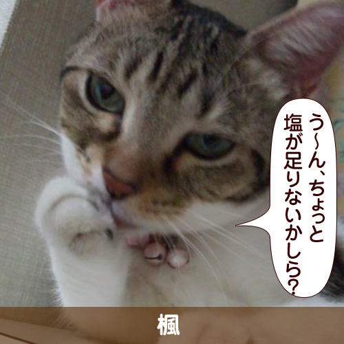 110227_touko.jpg