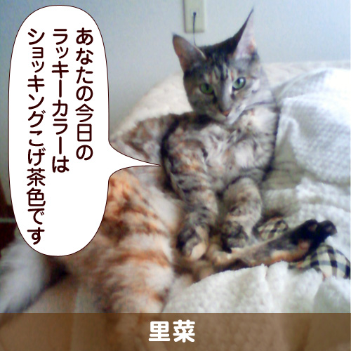 110228_touko.jpg