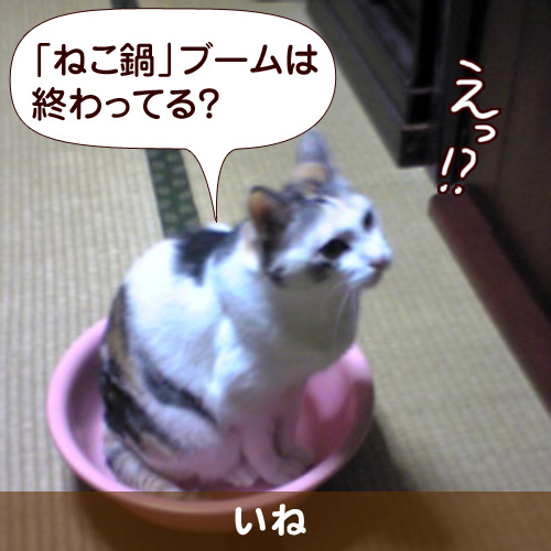 110229_touko.jpg
