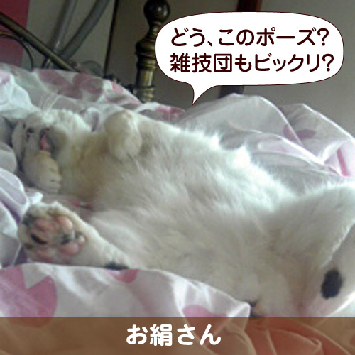 110230_touko.jpg