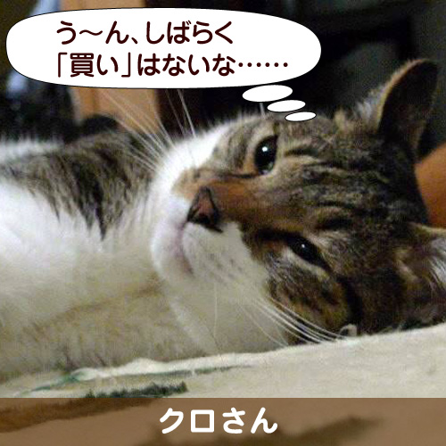 110231_touko.jpg