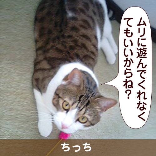 110232_touko.jpg
