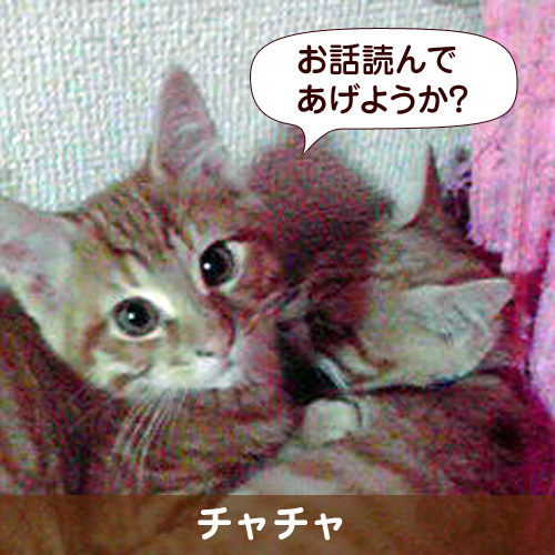 110233_touko.jpg