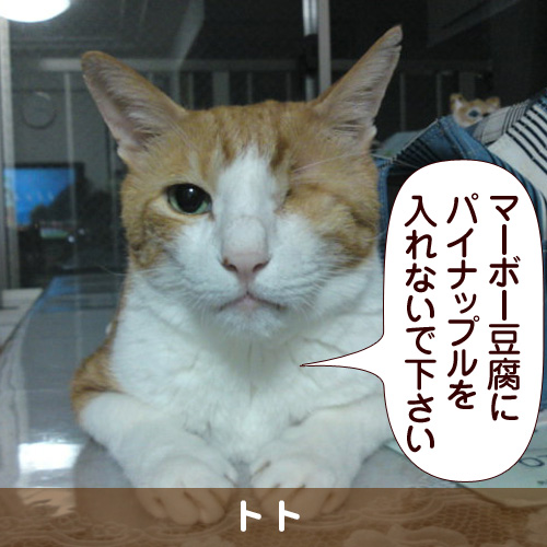 110234_touko.jpg