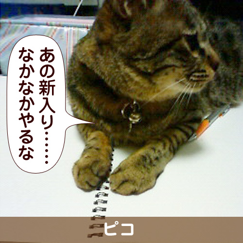 110235_touko.jpg