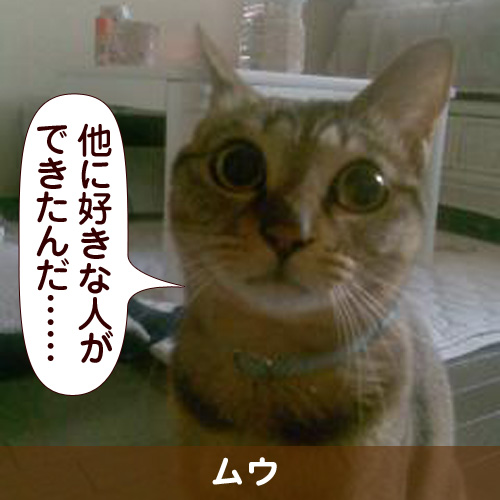 110237_touko.jpg
