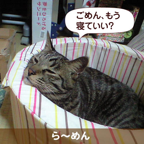 110238_touko.jpg