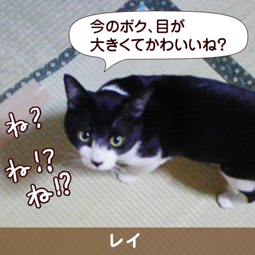 110239_touko.jpg