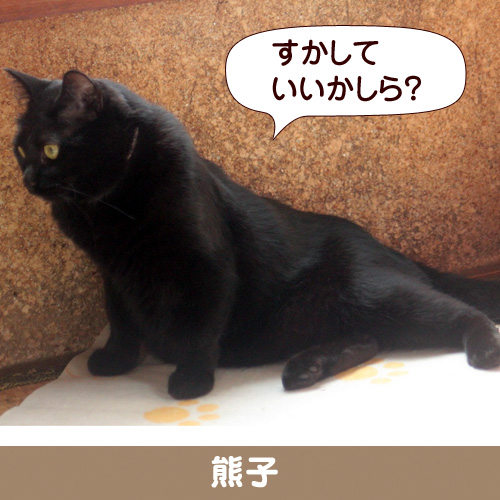 110240_touko.jpg