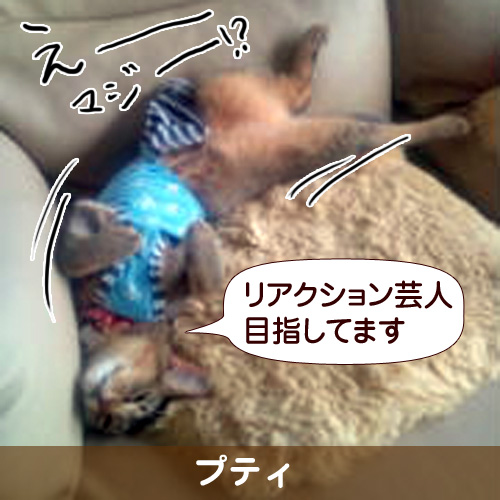 110241_touko.jpg