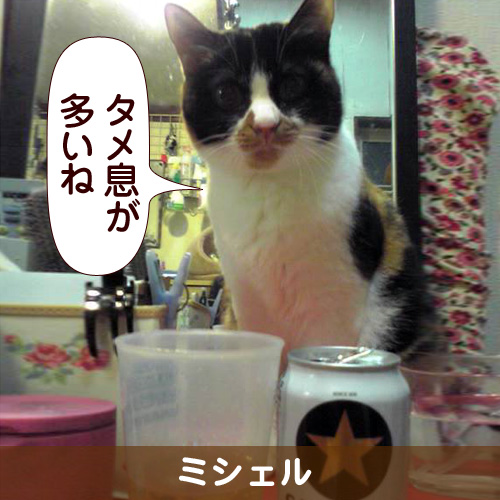 110242_touko.jpg