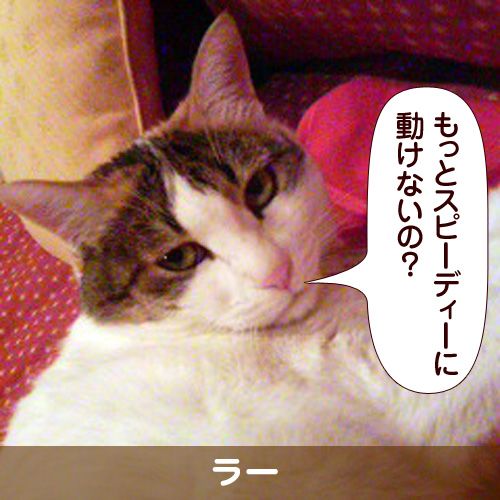 110244_touko.jpg