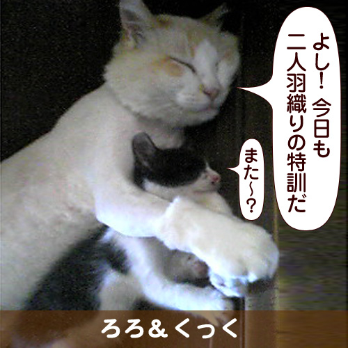110245_touko.jpg