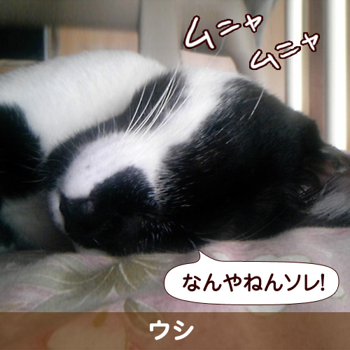 110251_touko.jpg
