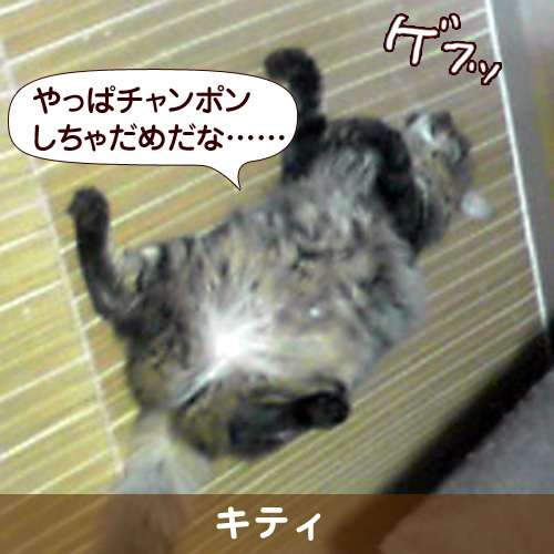 110252_touko.jpg