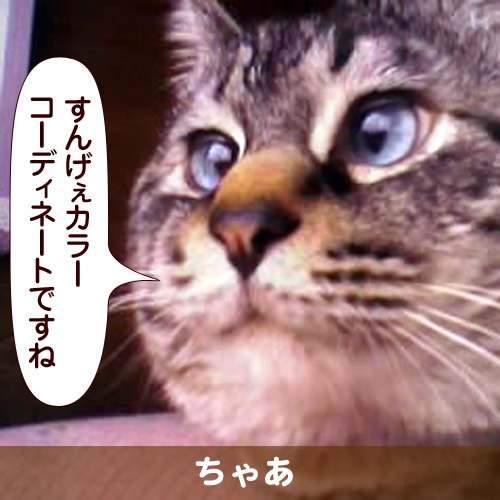 110254_touko.jpg