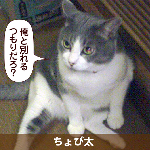 110255_touko.jpg