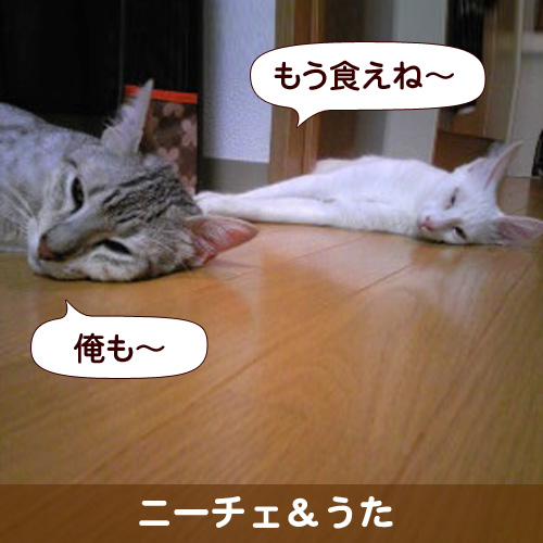 110256_touko.jpg