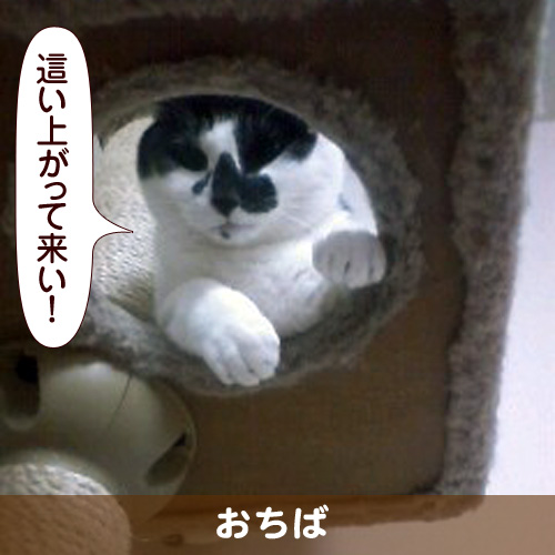 110302_touko.jpg