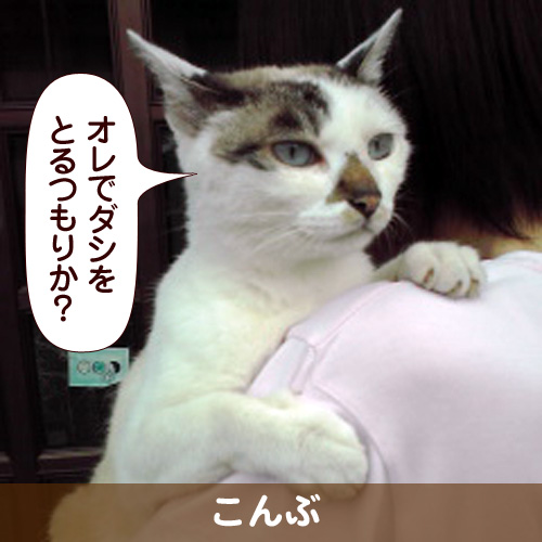 110303_touko.jpg