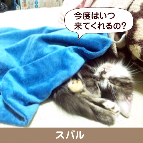 110304_touko.jpg