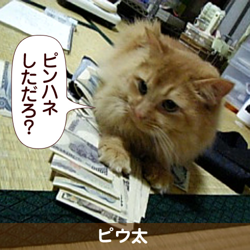 110306_touko.jpg