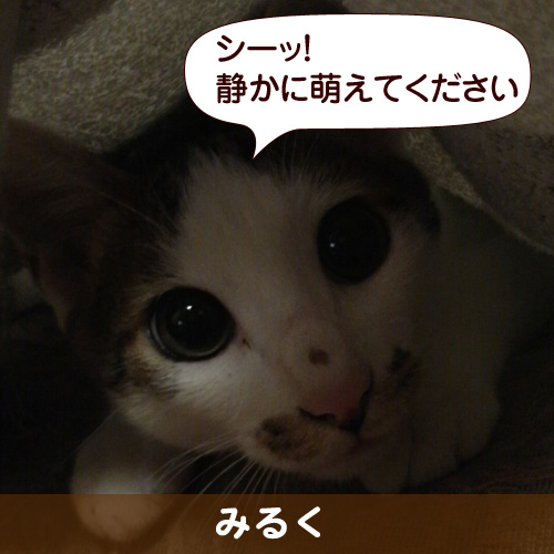 110307_touko.jpg